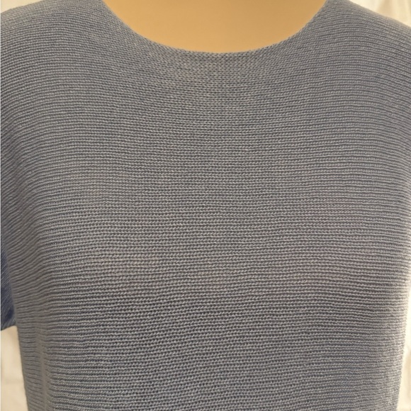 Bianca & BluSoft Muted Blue Shirt with Crew Neck and Short Sleeves - Picture 3 of 9